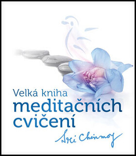 Obálka knihy Velká kniha meditačních cvičení