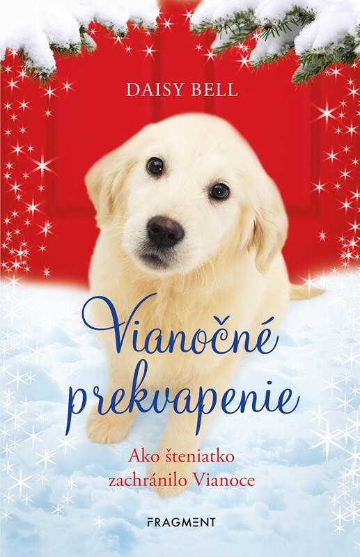 Obálka knihy Vianočné prekvapenie