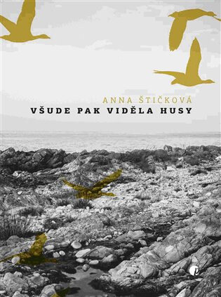 Obálka knihy Všude pak viděla husy