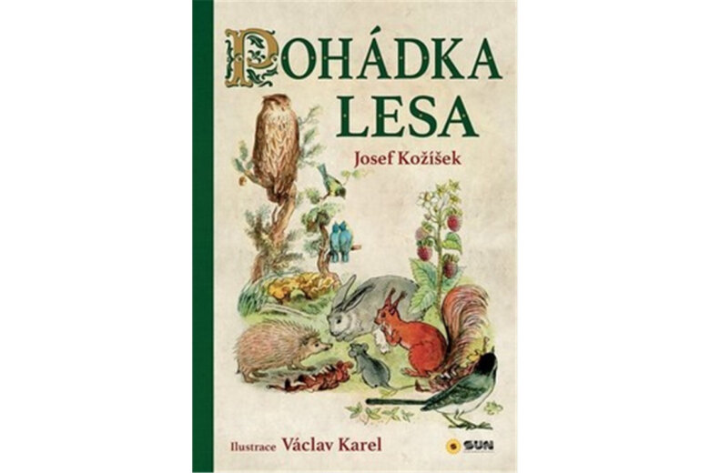 Obálka knihy Pohádka lesa