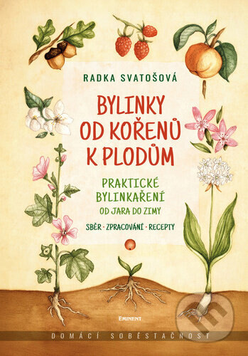 Obálka knihy Bylinky od kořenů k plodům