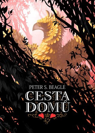 Obálka knihy Cesta domů