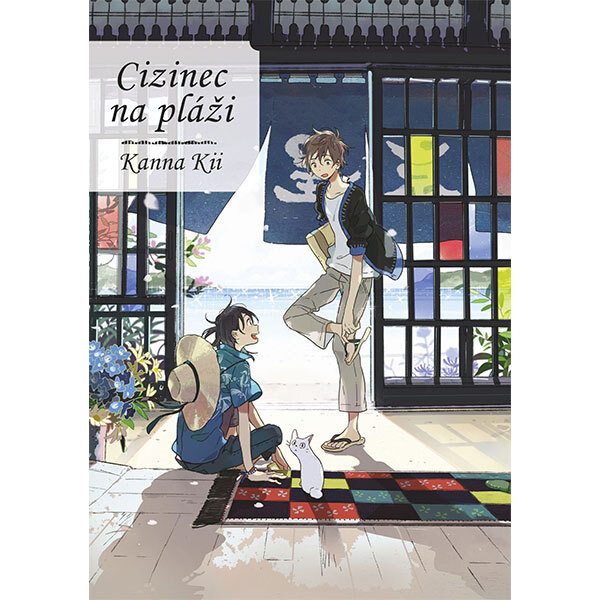 Obálka knihy Cizinec na pláži
