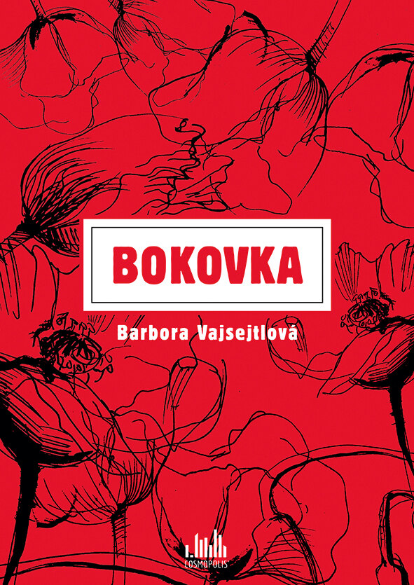 Obálka knihy Bokovka