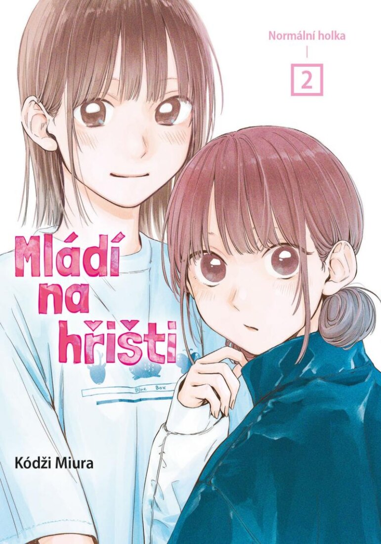 Obálka knihy Mládí na hřišti 2 - Normální holka