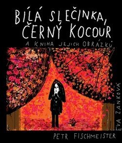 Obálka knihy Bílá slečinka, černý kocour