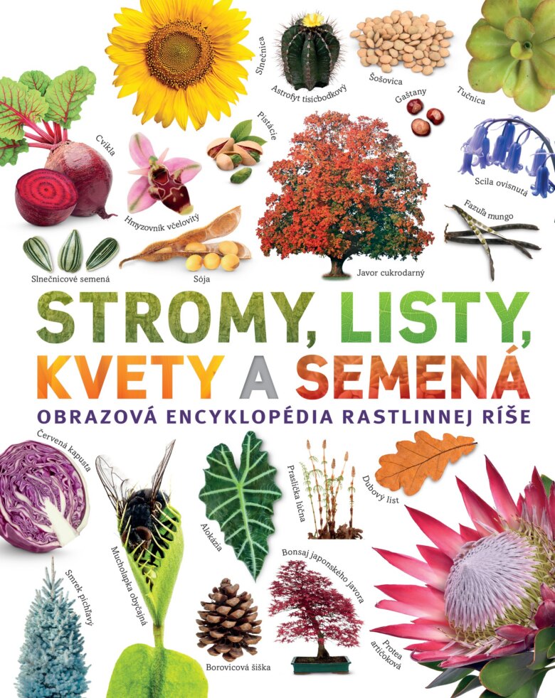 Obálka knihy Stromy, listy, kvety a semená. Obrazová encyklopédia rastlinnej ríše
