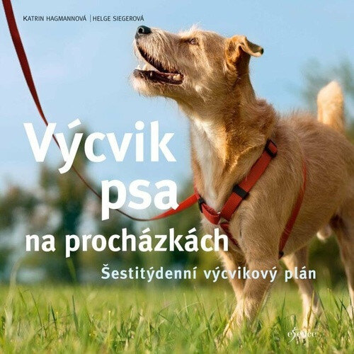 Obálka knihy Výcvik psa na procházkách