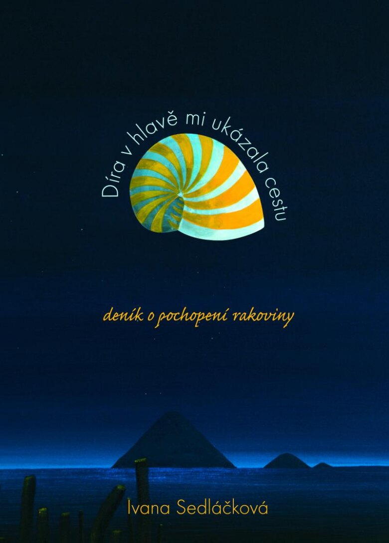 Obálka knihy Díra v hlavě mi ukázala cestu