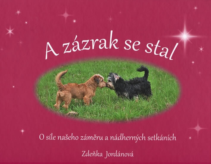 Obálka knihy A zázrak se stal