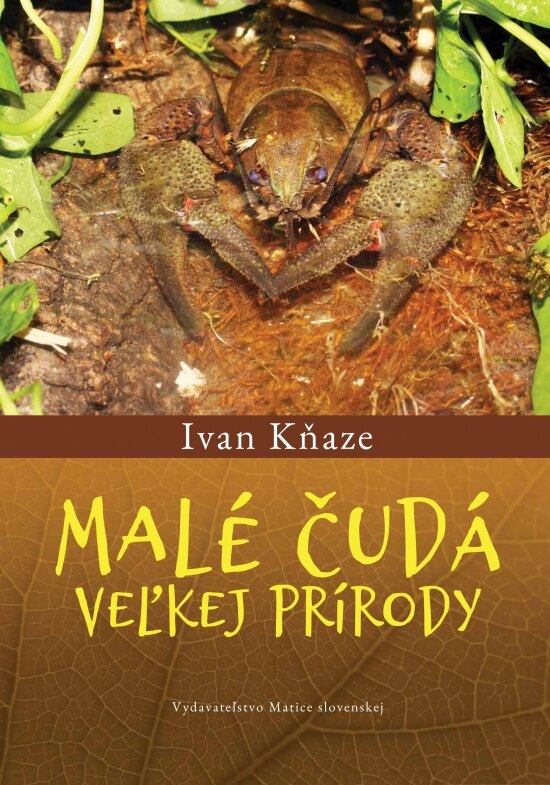 Obálka knihy Malé čudá veľkej prírody
