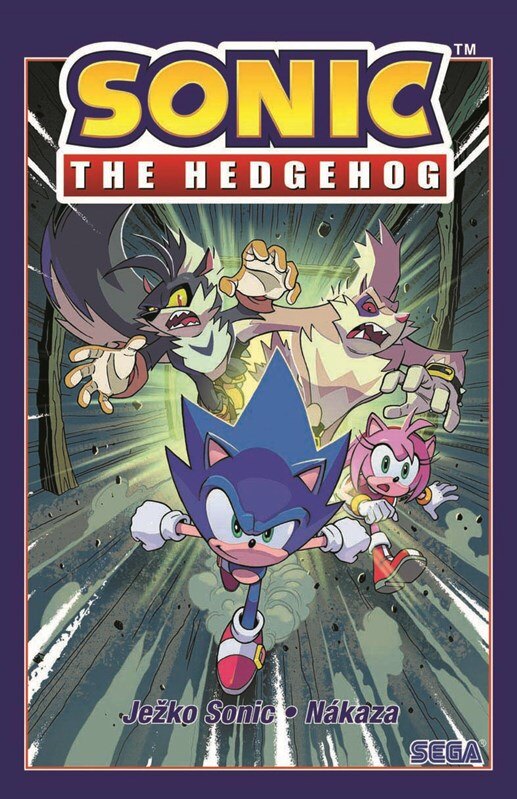 Obálka knihy Ježko Sonic 4 - Nákaza