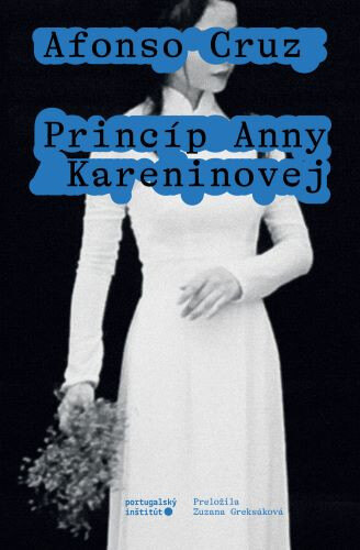Obálka knihy Princíp Anny Kareninovej