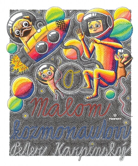 Obálka knihy O Malom kozmonautovi