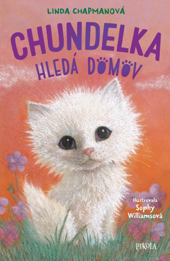 Obálka knihy Chundelka hledá domov