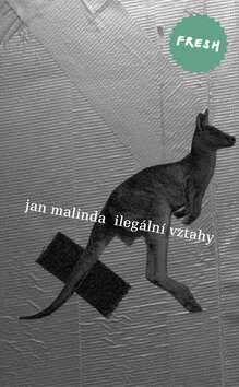 Obálka knihy Ilegální vztahy