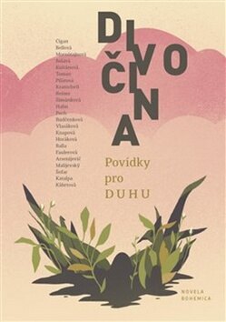 Obálka knihy Divočina