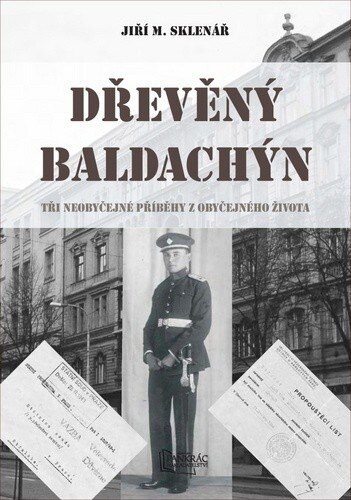 Obálka knihy Dřevěný baldachýn