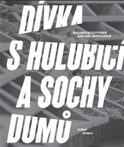 Obálka knihy Dívka s holubicí a sochy domů