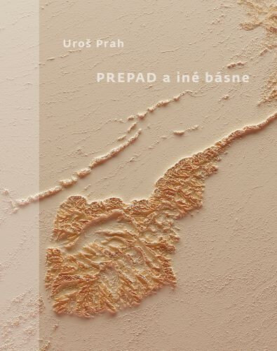 Obálka knihy Prepad a iné básne
