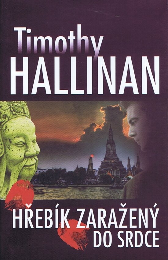 Obálka knihy Hřebík zaražený do srdce