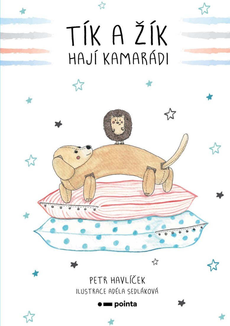 Obálka knihy Tík a Žík, hají kamarádi