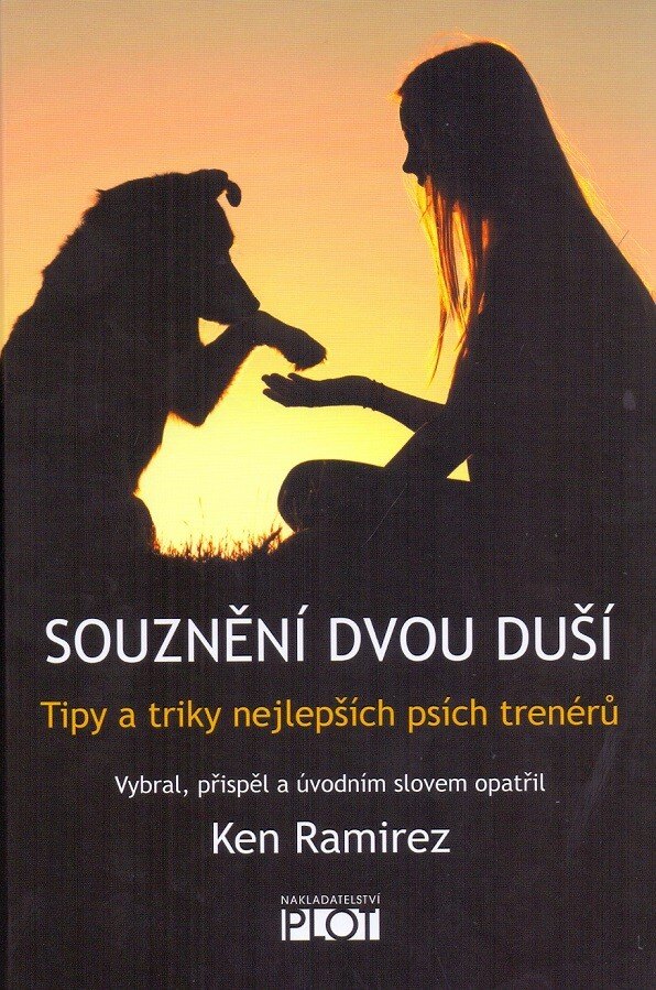 Obálka knihy Souznění dvou duší