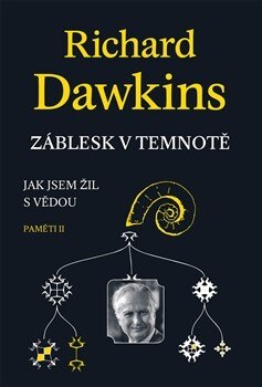 Obálka knihy Záblesk v temnotě