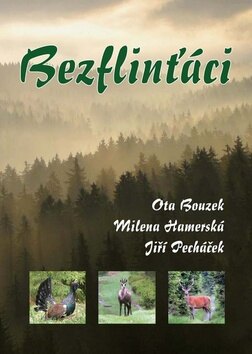 Obálka knihy Bezflinťáci