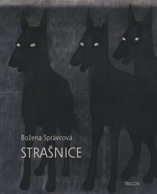 Obálka knihy Strašnice