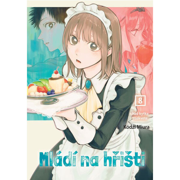 Obálka knihy Mládí na hřišti 8