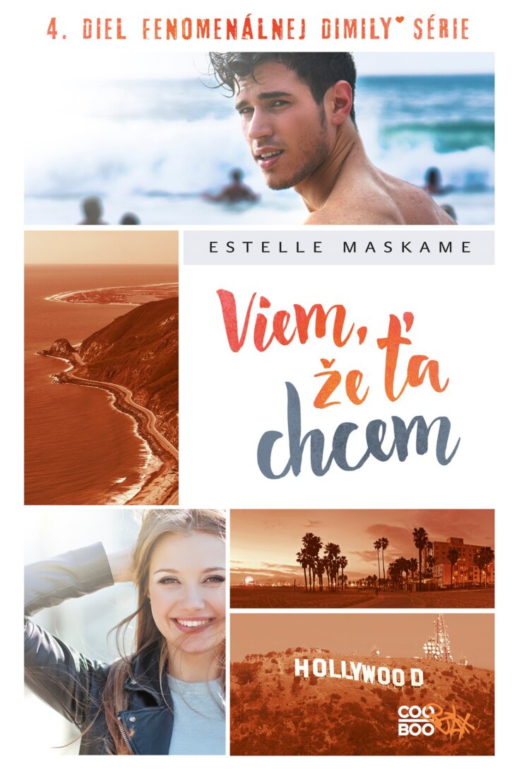Obálka knihy Viem, že ťa chcem