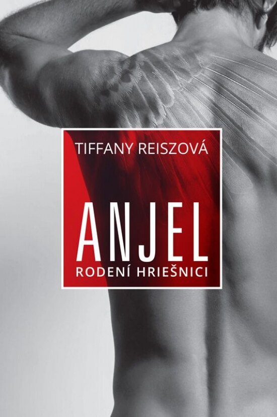 Obálka knihy Anjel – Rodení hriešnici 2