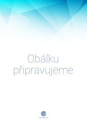 Obálka knihy Scénář na lásku