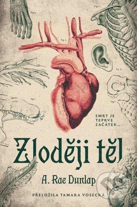 Obálka knihy Zloději těl