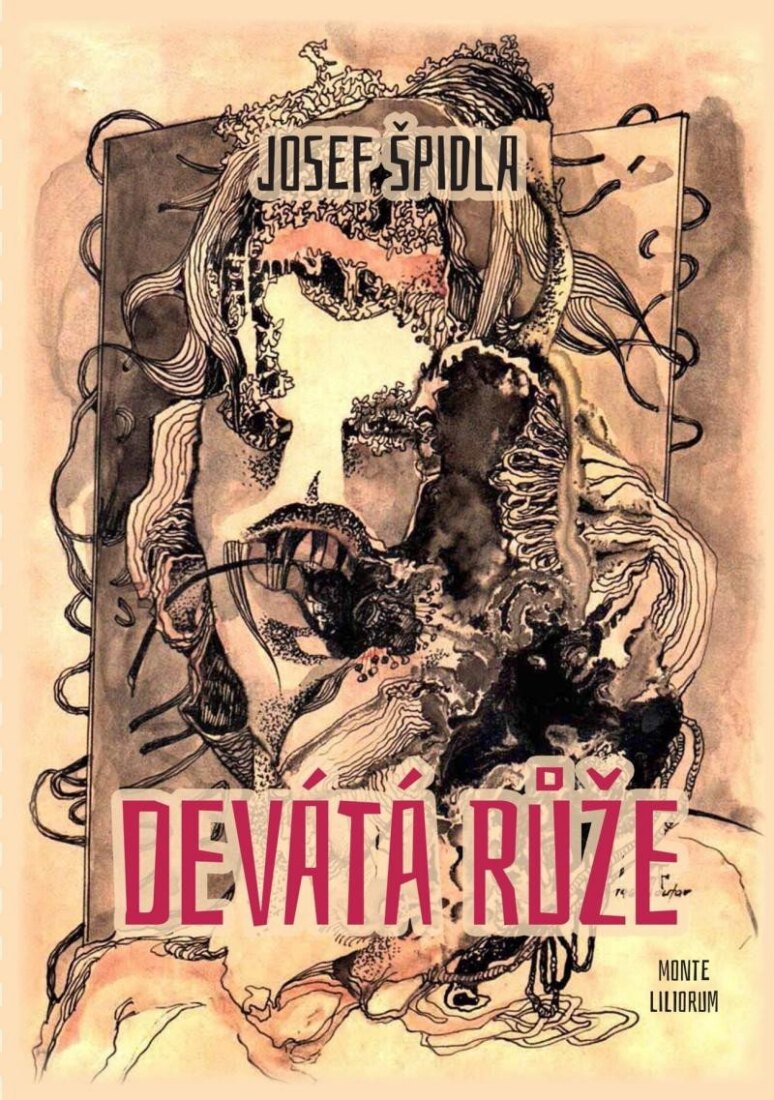 Obálka knihy Devátá růže
