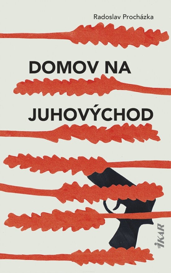 Obálka knihy Domov na juhovýchod