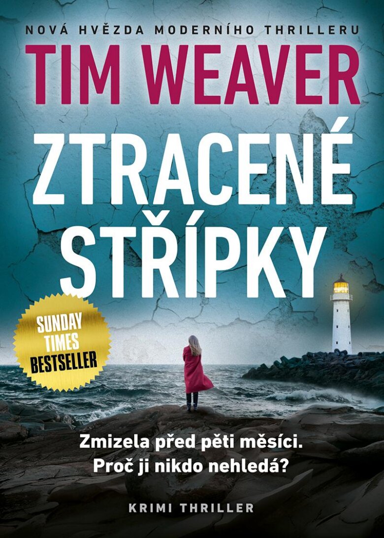 Obálka knihy Ztracené střípky