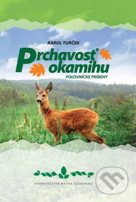Obálka knihy Prchavosť okamihu