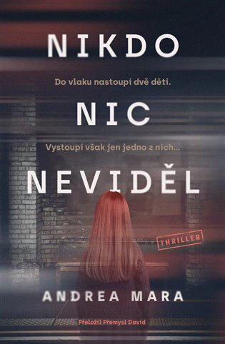 Obálka knihy Nikdo nic neviděl