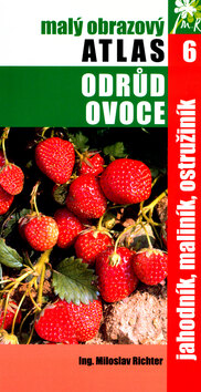 Obálka knihy Jahodník, maliník, ostružiník