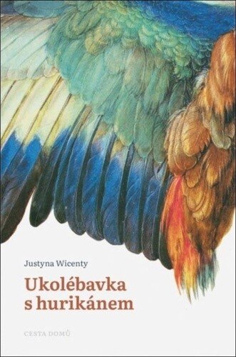 Obálka knihy Ukolébavka s hurikánem