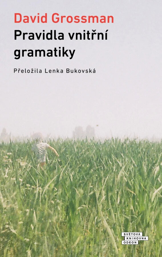 Obálka knihy Pravidla vnitřní gramatiky