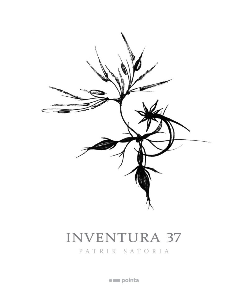 Obálka knihy Inventura 37