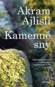 Obálka knihy Kamenné sny