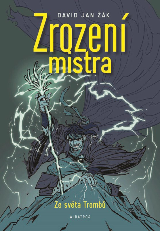 Obálka knihy Zrození mistra