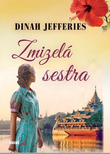 Obálka knihy Zmizelá sestra