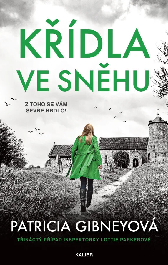 Obálka knihy Křídla ve sněhu