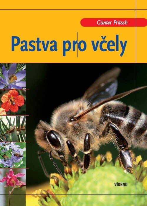 Obálka knihy Pastva pro včely