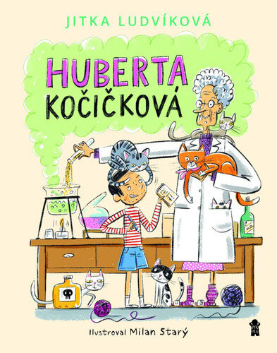 Obálka knihy Huberta Kočičková